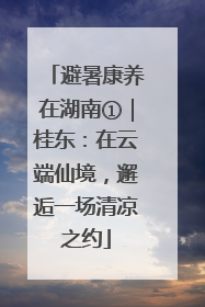 避暑康养在湖南①｜桂东：在云端仙境，邂逅一场清凉之约