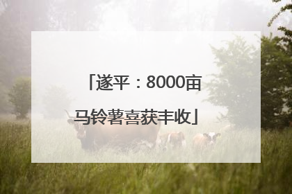 遂平：8000亩马铃薯喜获丰收