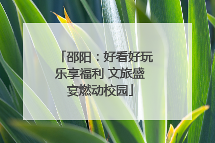 邵阳：好看好玩乐享福利 文旅盛宴燃动校园