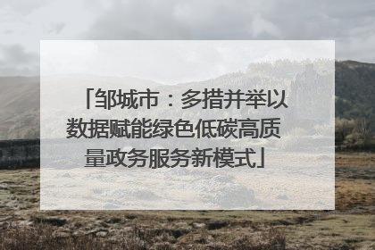 邹城市：多措并举以数据赋能绿色低碳高质量政务服务新模式