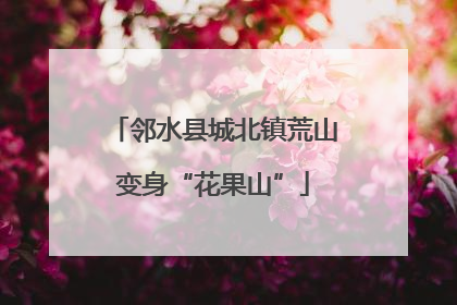 邻水县城北镇荒山变身“花果山”