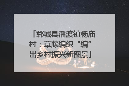 郓城县潘渡镇杨庙村：草藤编织“编”出乡村振兴新图景