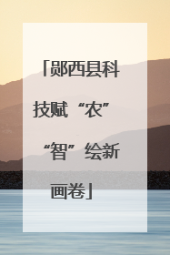 郧西县科技赋“农”“智”绘新画卷
