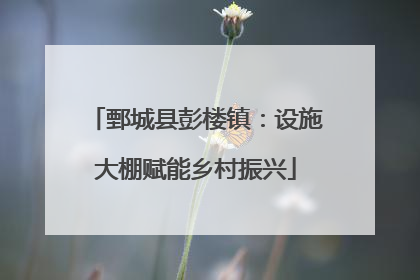 鄄城县彭楼镇：设施大棚赋能乡村振兴