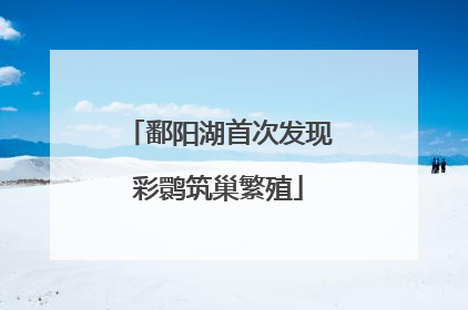鄱阳湖首次发现彩鹮筑巢繁殖