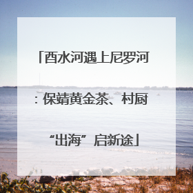 酉水河遇上尼罗河：保靖黄金茶、村厨“出海”启新途
