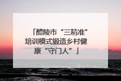 醴陵市“三精准”培训模式锻造乡村健康“守门人”