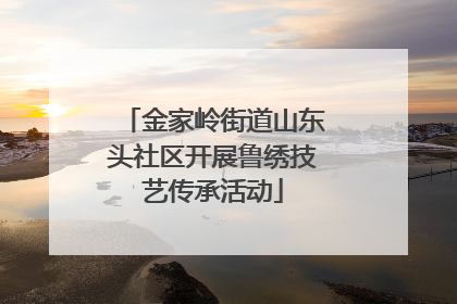 金家岭街道山东头社区开展鲁绣技艺传承活动