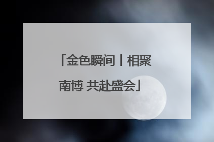 金色瞬间丨相聚南博 共赴盛会