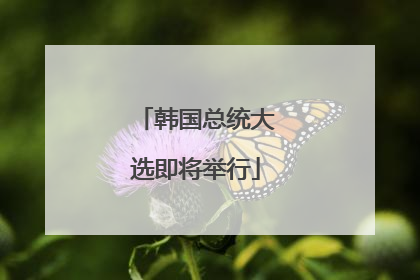 韩国总统大选即将举行