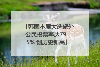 韩国本届大选旅外公民投票率达79.5% 创历史新高