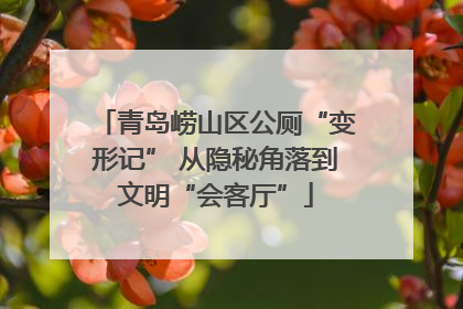 青岛崂山区公厕“变形记” 从隐秘角落到文明“会客厅”