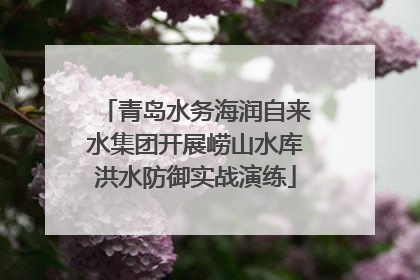 青岛水务海润自来水集团开展崂山水库洪水防御实战演练