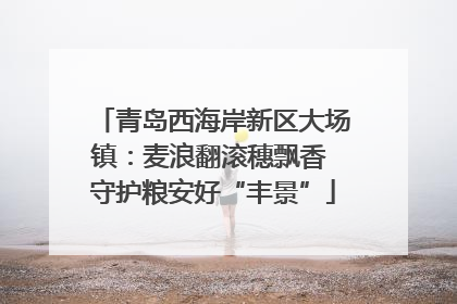 青岛西海岸新区大场镇：麦浪翻滚穗飘香 守护粮安好“丰景”