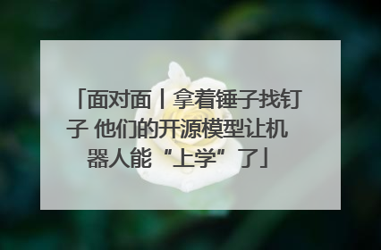 面对面丨拿着锤子找钉子 他们的开源模型让机器人能“上学”了