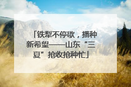 铁犁不停歇，播种新希望——山东“三夏”抢收抢种忙