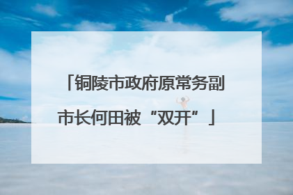 铜陵市政府原常务副市长何田被“双开”