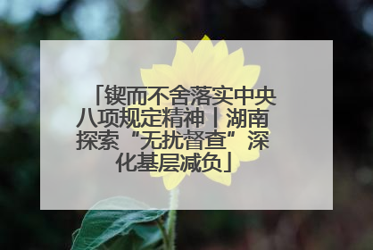 锲而不舍落实中央八项规定精神丨湖南探索“无扰督查”深化基层减负
