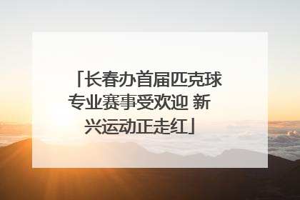 长春办首届匹克球专业赛事受欢迎 新兴运动正走红
