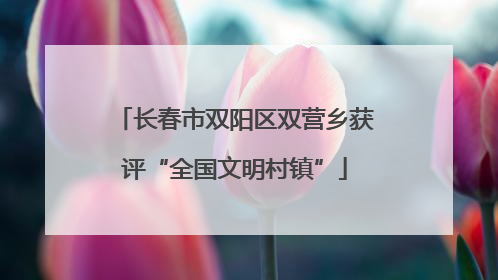 长春市双阳区双营乡获评“全国文明村镇”