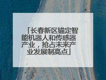 长春新区锚定智能机器人和传感器产业，抢占未来产业发展制高点