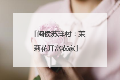 闽侯苏洋村：茉莉花开富农家