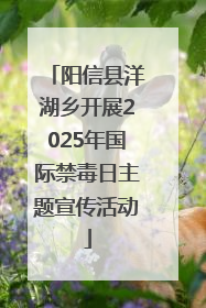 阳信县洋湖乡开展2025年国际禁毒日主题宣传活动