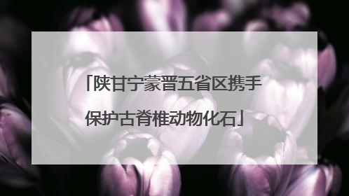 陕甘宁蒙晋五省区携手保护古脊椎动物化石