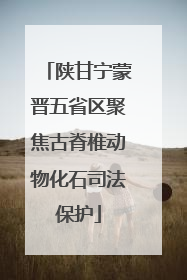 陕甘宁蒙晋五省区聚焦古脊椎动物化石司法保护