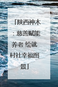 陕西神木：慈善赋能养老 绘就村社幸福图景