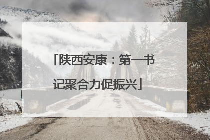 陕西安康：第一书记聚合力促振兴