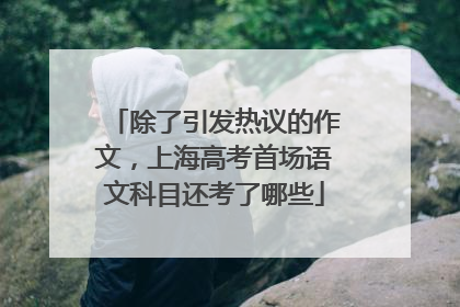 除了引发热议的作文，上海高考首场语文科目还考了哪些