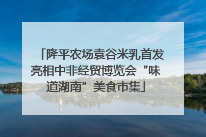 隆平农场袁谷米乳首发亮相中非经贸博览会“味道湖南”美食市集