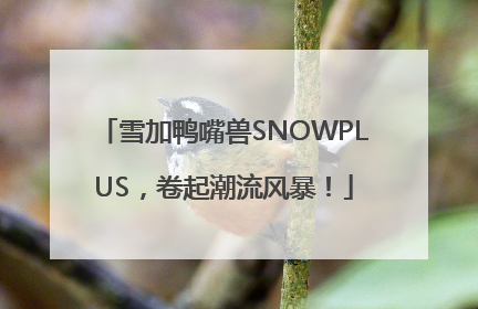 雪加鸭嘴兽SNOWPLUS，卷起潮流风暴！