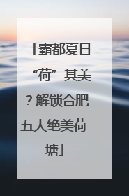 霸都夏日“荷”其美？解锁合肥五大绝美荷塘