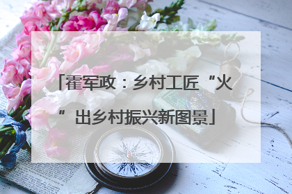 霍军政：乡村工匠“火”出乡村振兴新图景
