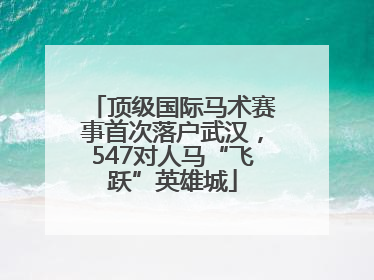 顶级国际马术赛事首次落户武汉，547对人马“飞跃”英雄城
