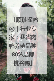 顺链探鸭④｜行业专家：我省肉鸭养殖品种80%是樱桃谷鸭
