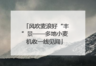 风吹麦浪好“丰”景——多地小麦机收一线见闻