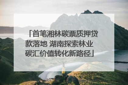 首笔湘林碳票质押贷款落地 湖南探索林业碳汇价值转化新路径
