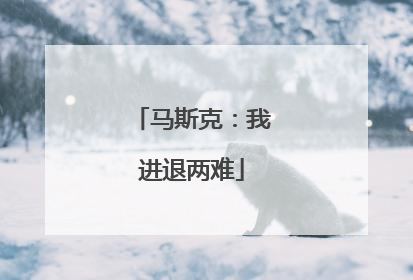 马斯克：我进退两难