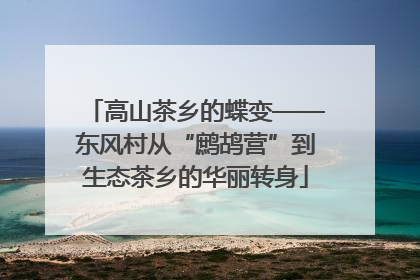 高山茶乡的蝶变——东风村从“鹧鸪营”到生态茶乡的华丽转身