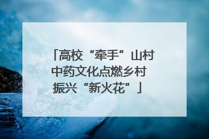 高校“牵手”山村 中药文化点燃乡村振兴“新火花”