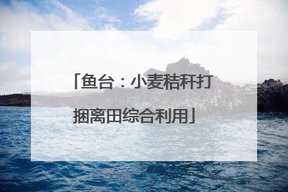 鱼台：小麦秸秆打捆离田综合利用