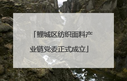 鲤城区纺织面料产业链党委正式成立