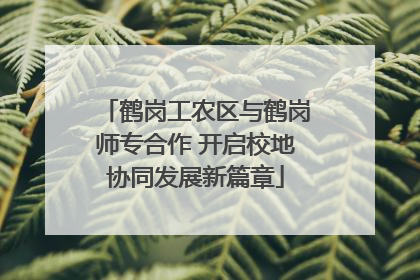 鹤岗工农区与鹤岗师专合作 开启校地协同发展新篇章