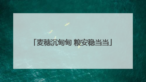 麦穗沉甸甸 粮安稳当当