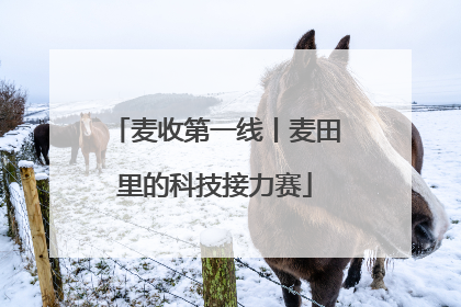 麦收第一线丨麦田里的科技接力赛
