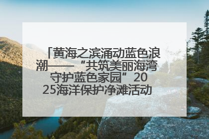 黄海之滨涌动蓝色浪潮——“共筑美丽海湾 守护蓝色家园”2025海洋保护净滩活动暨“美丽江苏—江河湖海青蓝行”海洋篇在连云港举行