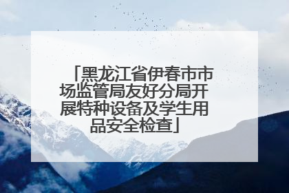 黑龙江省伊春市市场监管局友好分局开展特种设备及学生用品安全检查